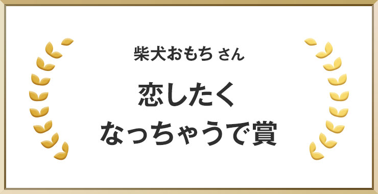 柴犬おもちさん 恋したくなっちゃうで賞